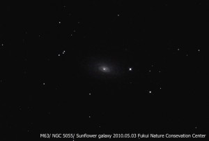 M６３　ひまわり銀河
