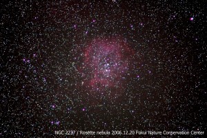 NGC2237　ばら星雲