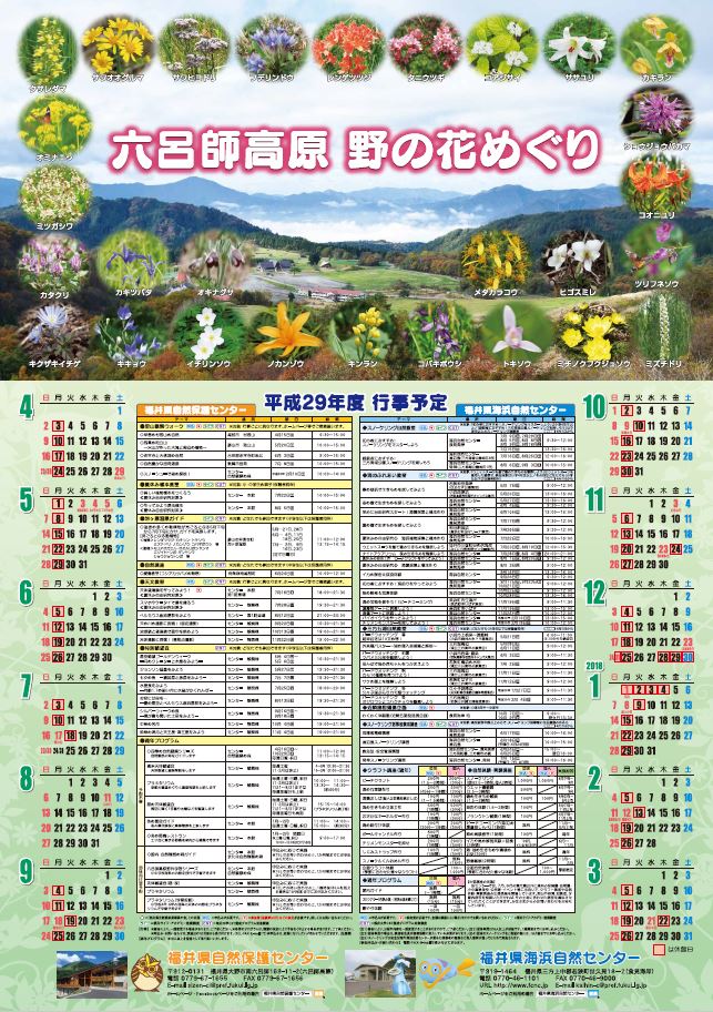 ｈ２９年度用のカレンダーが完成しました 福井県自然保護センター