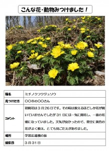 このような形式で紹介します
