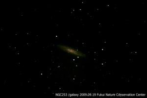 NGC２５３