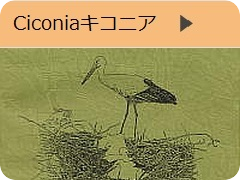 Ciconiaキコニア