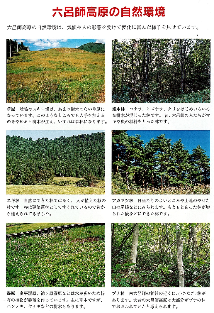 六呂師高原の自然